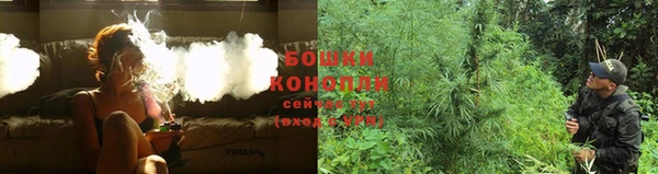 PSILOCYBIN Козельск