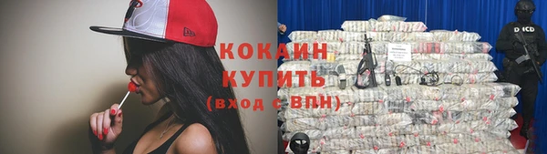 каннабис Корсаков