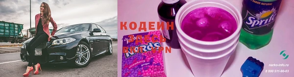ГАЛЛЮЦИНОГЕННЫЕ ГРИБЫ Козловка