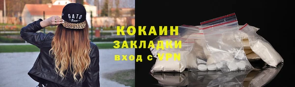ГАЛЛЮЦИНОГЕННЫЕ ГРИБЫ Козловка