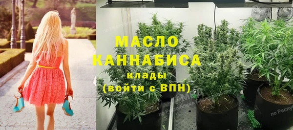 шишки Кодинск