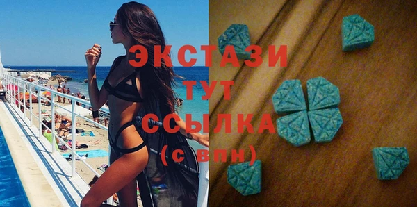 ГАЛЛЮЦИНОГЕННЫЕ ГРИБЫ Козловка