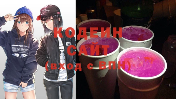 шишки Кодинск