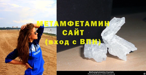 шишки Кодинск