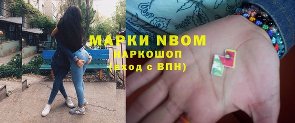 ГАЛЛЮЦИНОГЕННЫЕ ГРИБЫ Козловка