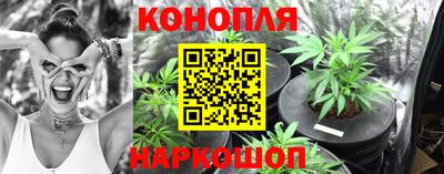 шишки Донецк