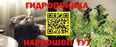 метадон Донской
