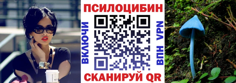 где можно купить наркотик  Малгобек  Галлюциногенные грибы Psilocybine cubensis 