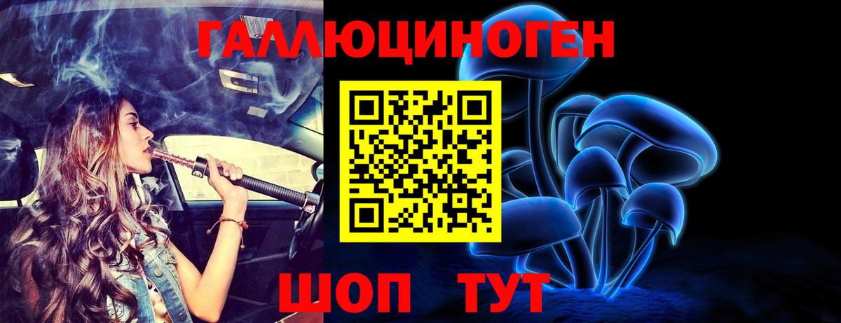 Галлюциногенные грибы GOLDEN TEACHER  Псилоцибиновые грибы Magic Shrooms  Вход с VPN  Малгобек 