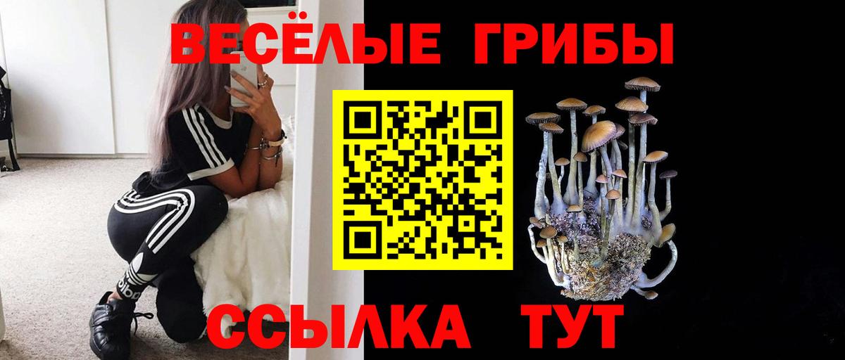 Галлюциногенные грибы Cubensis Малгобек