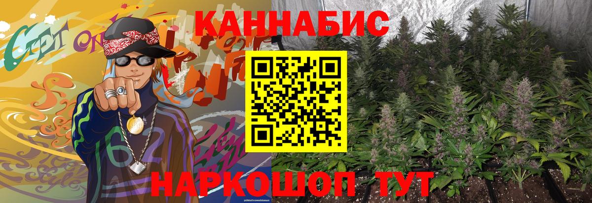 Конопля ГИДРОПОН  Шишки марихуана White Widow  МАРИХУАНА семена  Малгобек  Вход с VPN 